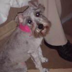 Princessa coocoo?